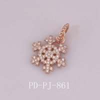 PD-PJ-861 PANC PRC PDC