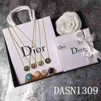 DASN1309 DON