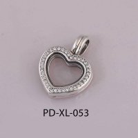 PD-XL-053 PANN include 50cm silver chain