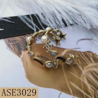 ASE3029-CHEE-xx#