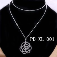 PD-XL-001 PANN include 70cm silver chain