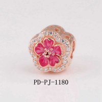 PD-PJ-1180 PANC PRC 788079CZ