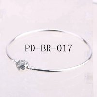 PD-BR-017 PANB