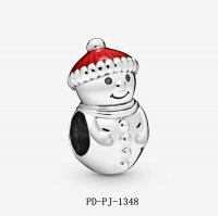 PD-PJ-1348 PANC 798478C01