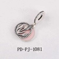 PD-PJ-1081 PANC PDC