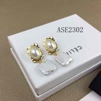 ASE2302 CLE