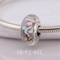 PD-PJ-857 PDG