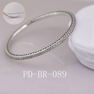 PD-BR-089 PANB