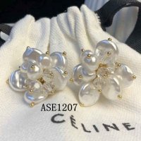 ASE1207 CLE