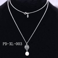 PD-XL-003 PANN include 70cm silver chain