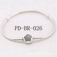 PD-BR-026 PANB