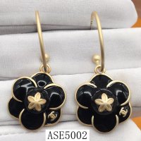 ASE5002-CHEE-aibier#