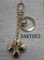 DAKY0053 LVK