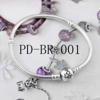 PD-BR-001 PANB